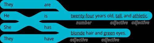 pattern 2 answer they are number years old adjective and adjective they have adjective hair and adjective eyes