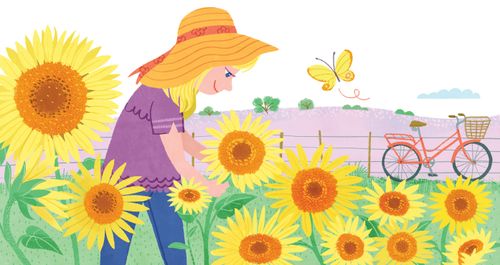 Girl picking sunflowers