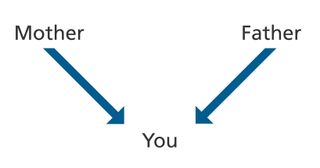 diagram of parentage