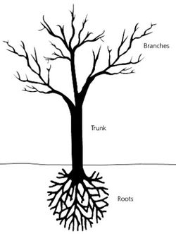 tree with roots diagram