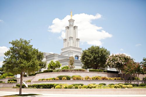 The San Antonio Texas Temple, with a view of the grounds surrounding the temple, including trees and bushes.