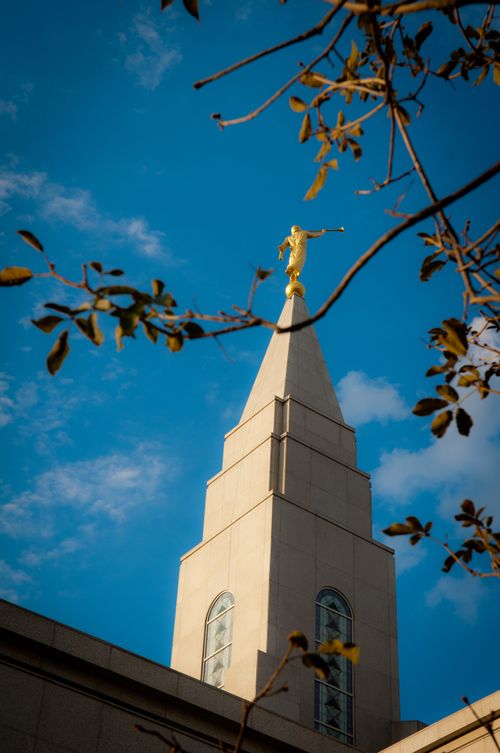 A view of the spire on the Campinas Brazil Temple between the branches of a nearby tree, with the blue sky in the background.