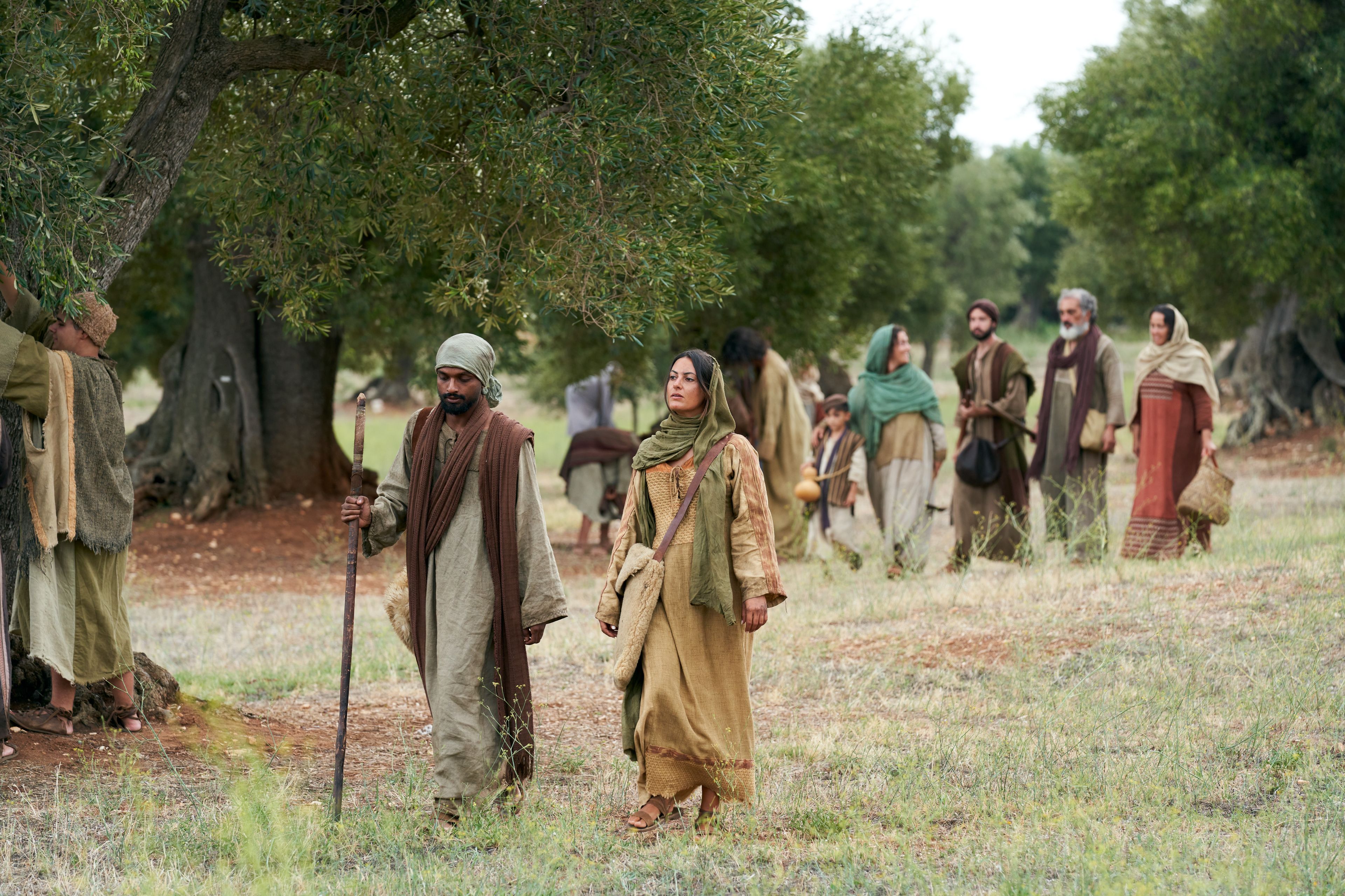 Men and women of all ages come to aid in caring for the vineyard. This is part of the olive tree allegory mentioned in Jacob 5.