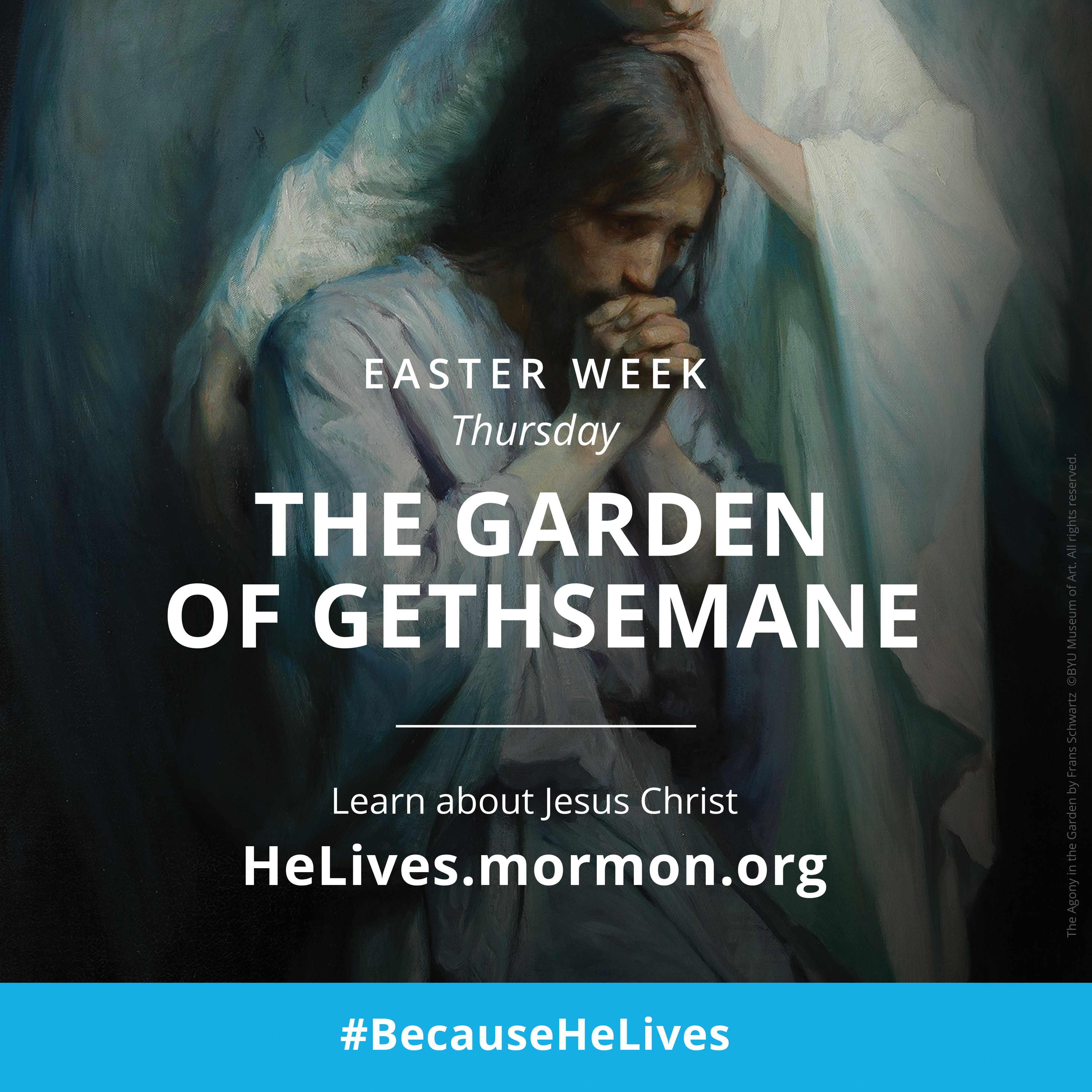 Easter week, Thursday: the Garden of Gethsemane. Learn about Jesus Christ. #BecauseHeLives, HeLives.mormon.org