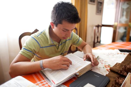 Un joven estudia las Escrituras