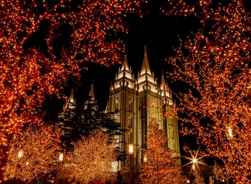 A view of the Salt Lake Temple lit up at night, framed by trees covered in Christmas lights on the temple grounds.