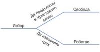 схема, избори и последици