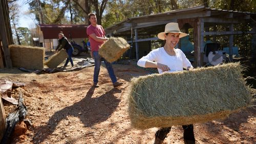 family carrying hay