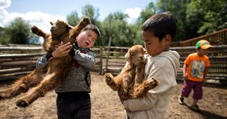 two boys with baby animals