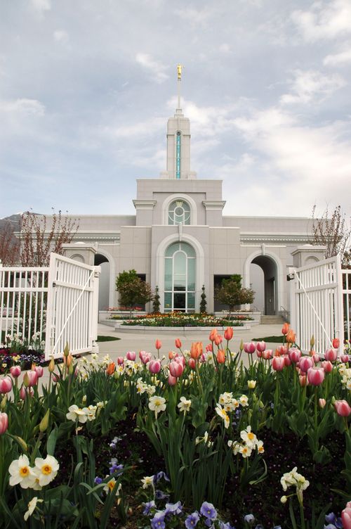 The tulips and other spring flowers in front of the Mount Timpanogos Utah Temple, with the temple seen through the open gate on the white fence.