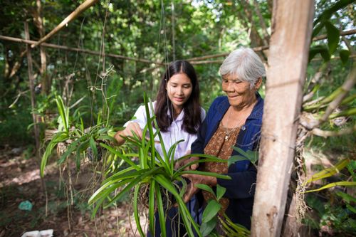 women taking care of plants