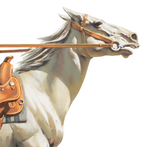 An illustration of a white horse fitted with a bridle and saddle.