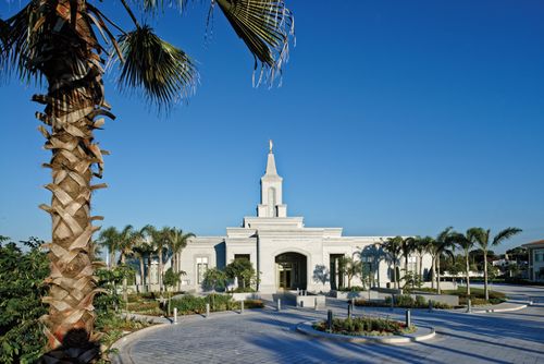 A landscape view of palm trees and sidewalks in front of the Córdoba Argentina Temple on a sunny day.