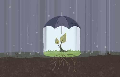 plant under umbrella