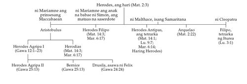 Diagram ng pamilya ni Herodes