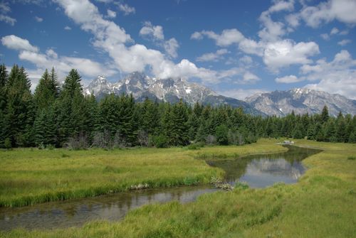 A river runs through Grand Teton National Park with the mountain range and pine trees in the background.