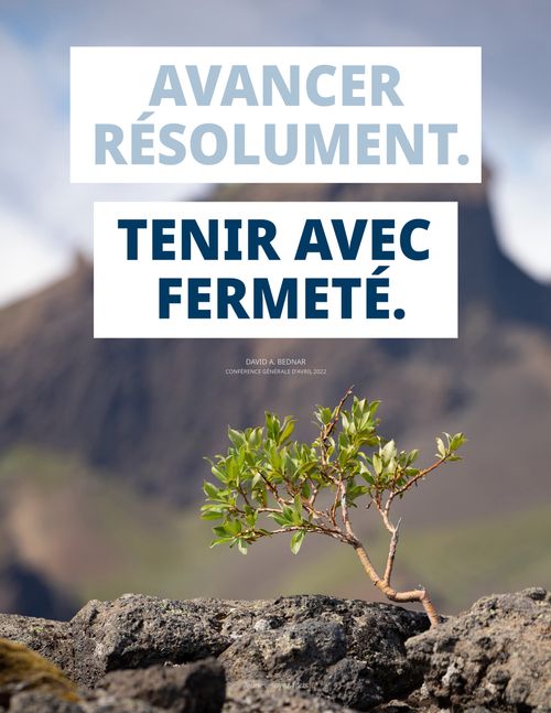 affiche d’une plante poussant dans le roc