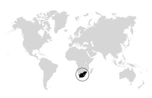 zemljopisna karta svijeta s krugom oko Južne Afrike