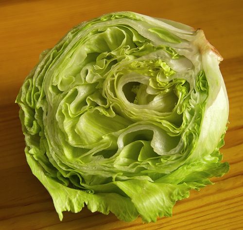 lettuce