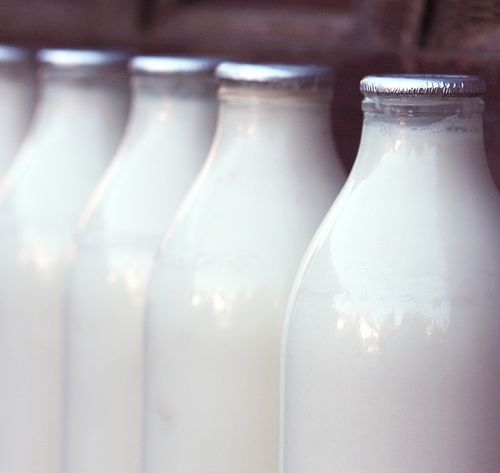 bottles of milk