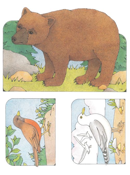 Primary cutouts of a bear standing near rocks and trees, a brown bird standing on a rock, and a white bird standing with other birds flying in the background.