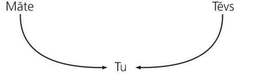 diagramma, vecāki un bērns