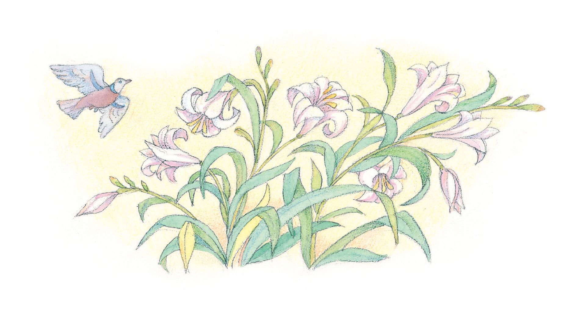 A bird and Easter lilies. From the Children’s Songbook, page 70, “Jesus Has Risen”; watercolor illustration by Phyllis Luch.