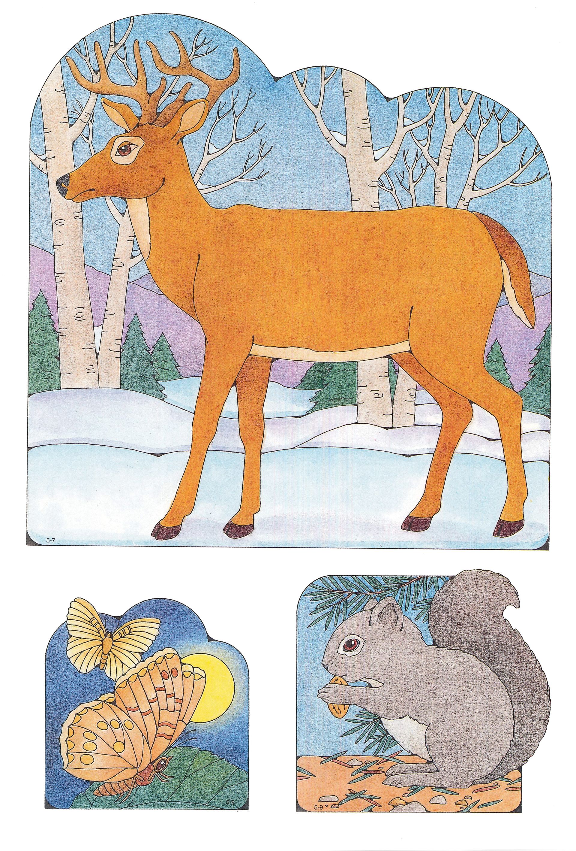 Primary Visual Aids: Cutouts 5-7, Deer; 5-8, Moths; 5-9, Squirrel.