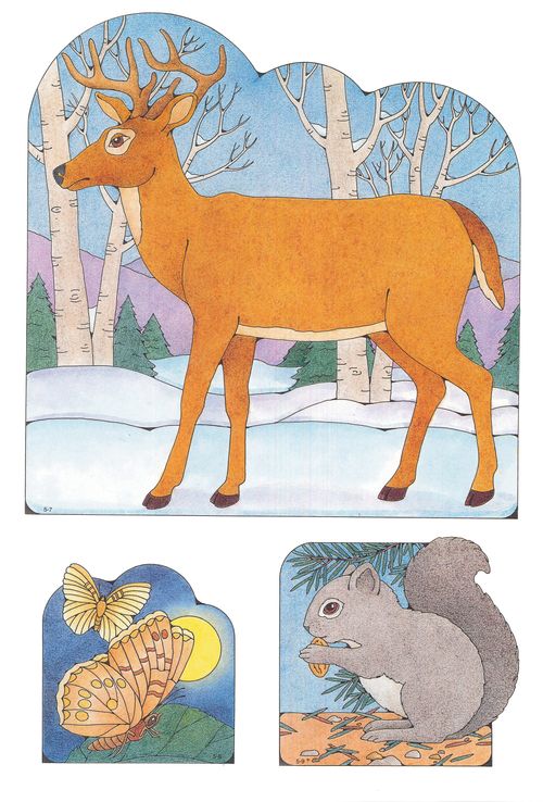 Primary cutouts of a deer standing on snow near trees, two moths in the night sky, and a squirrel eating an acorn on the ground.