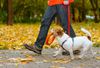 a man walking a dog