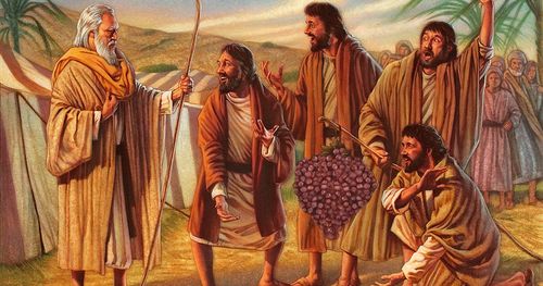 men showing fruits to Moses