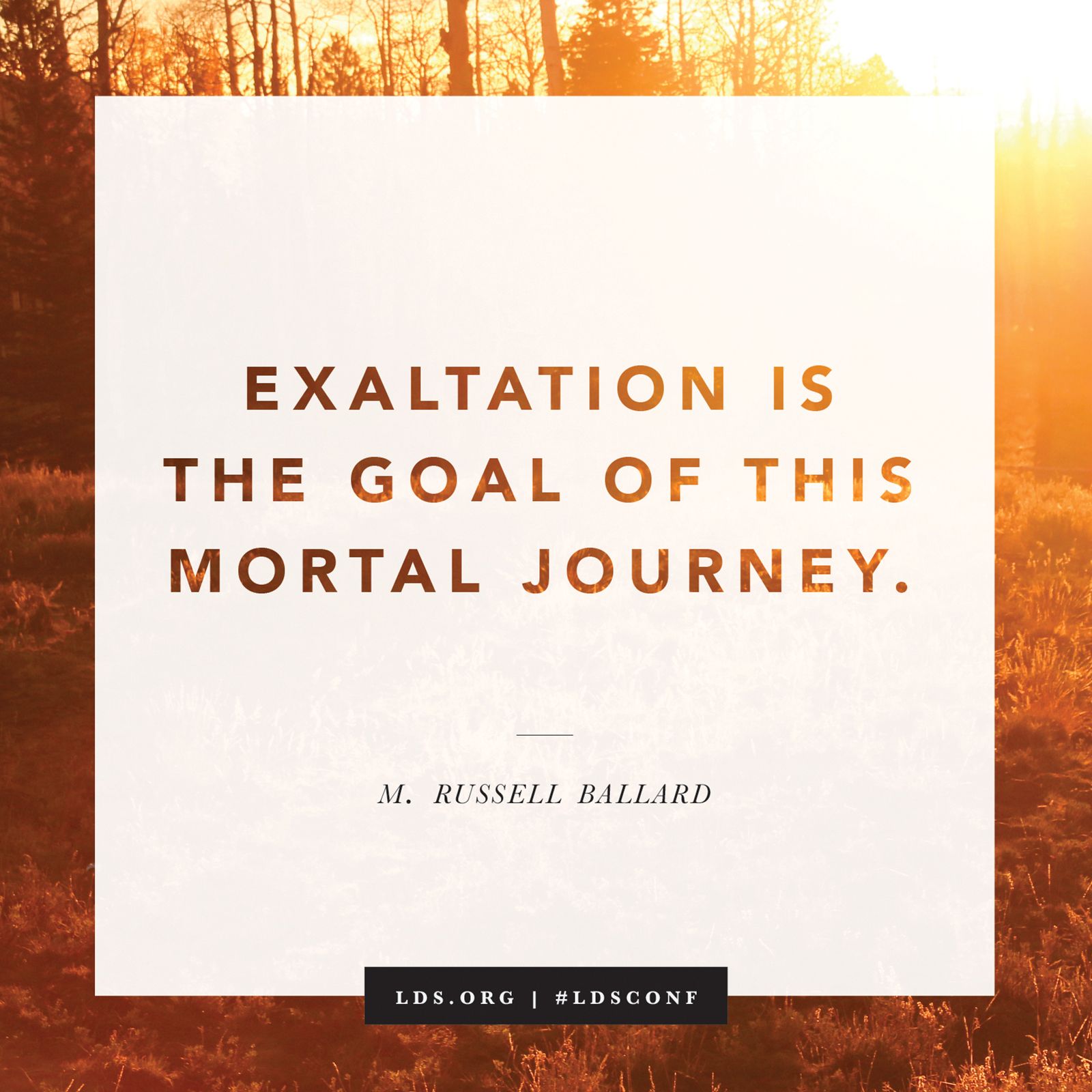 “Exaltation is the goal of this mortal journey.” —Elder M. Russell Ballard, “God Is at the Helm”