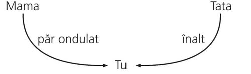 diagramă, trăsături moştenite