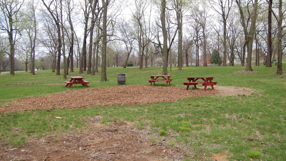 Partridge Street Wood Picnic Area