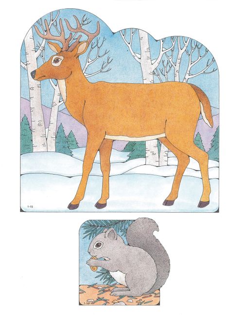 Primary cutouts of a deer standing on snow by trees and a gray squirrel sitting while eating an acorn.