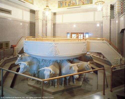 A white baptismal font in the Alberta Canada Temple held on the backs of 12 white oxen.