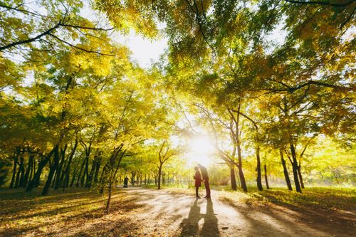 couple standing among trees