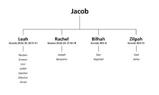 Jacob’s wives and children