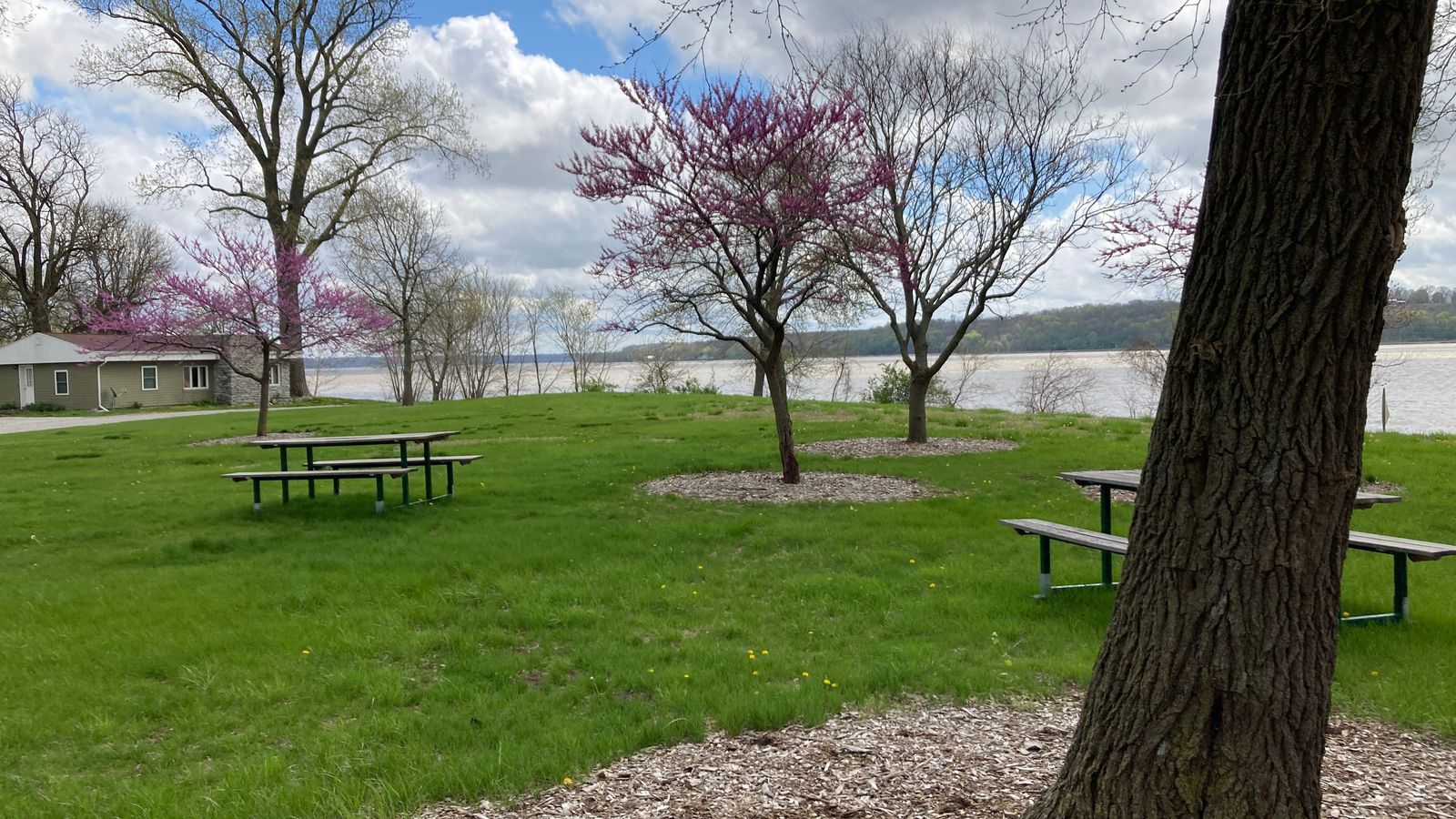 Pioneer Memorial Picnic Area