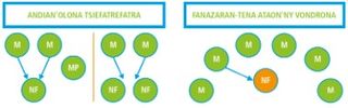 fanehoana an-tsary vondrona 2, 3