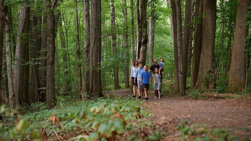 Various people walk the paths around the Sacred Grove. There are lots of trees around and everything is very green. The families are all walking on dirt pathways.