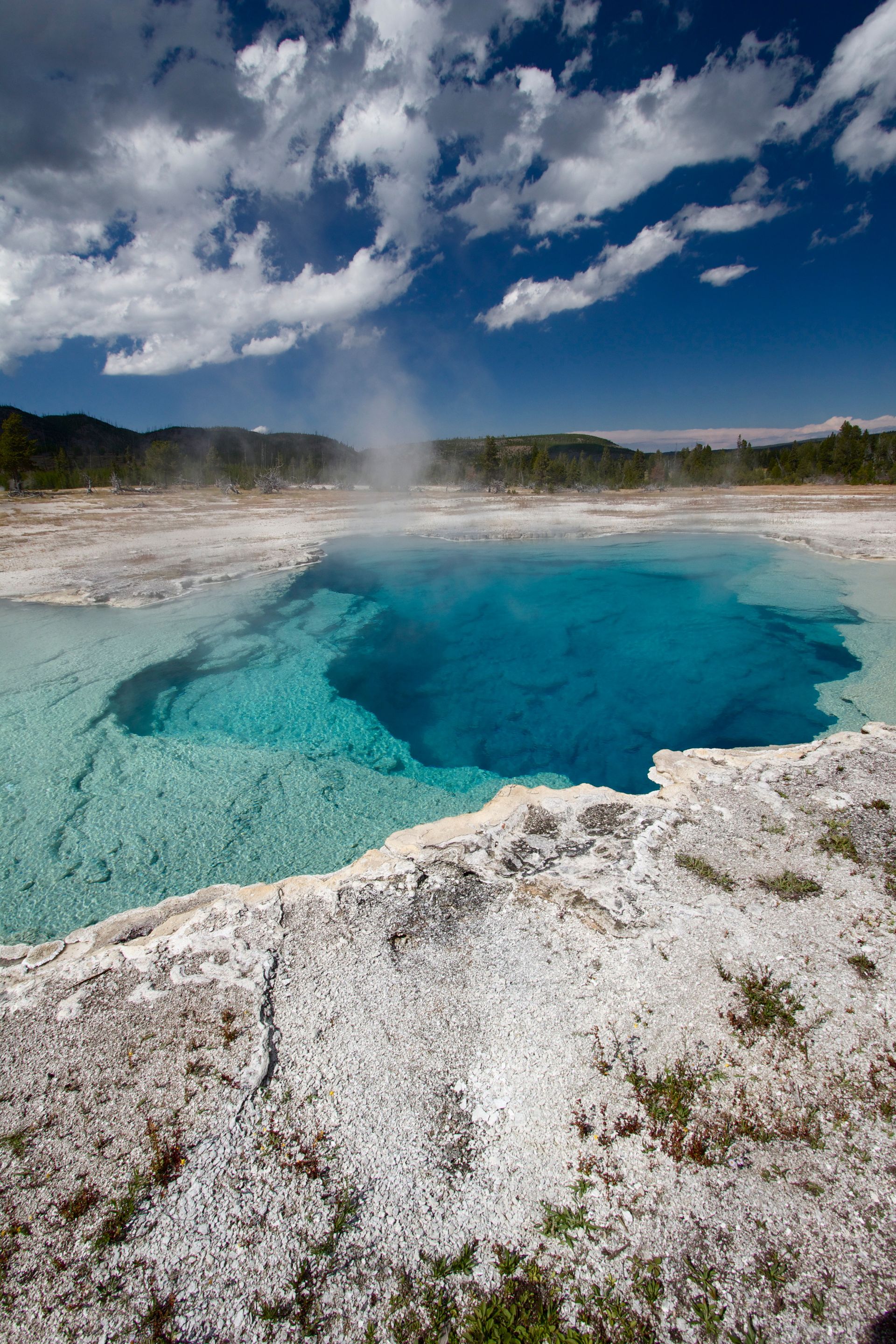 Hot springs at Yellowstone National Park.   