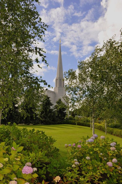 The spire on the Preston England Temple seen from afar between green trees growing near the temple, with some flowers growing in the foreground.
