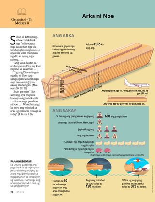 article about Noah’s ark