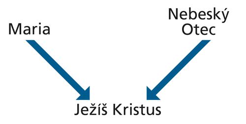 Diagram with the words Mary and Heavenly Father and arrows pointing to the words Jesus Christ.