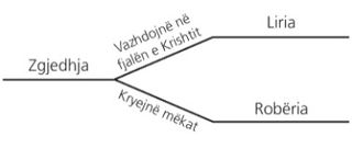 skema, zgjedhja dhe pasojat