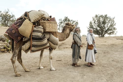 Lehi, Sariah, and camel