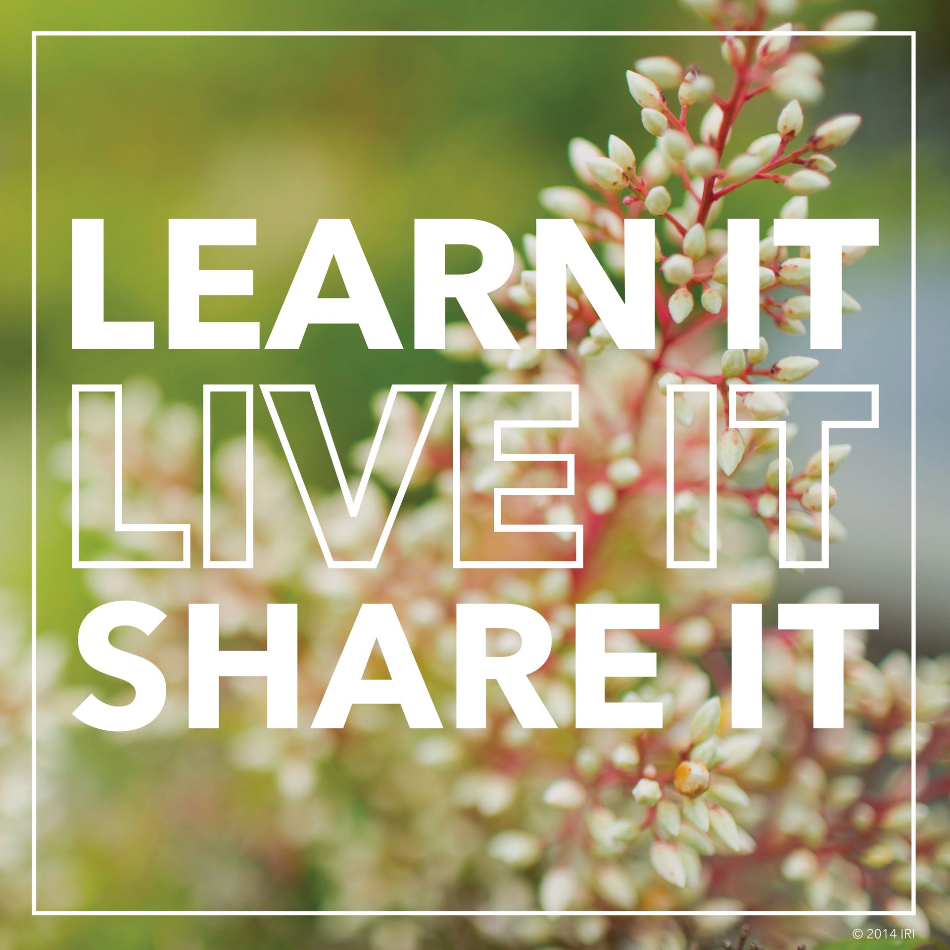Learn it, live it, share it. © undefined ipCode 1.