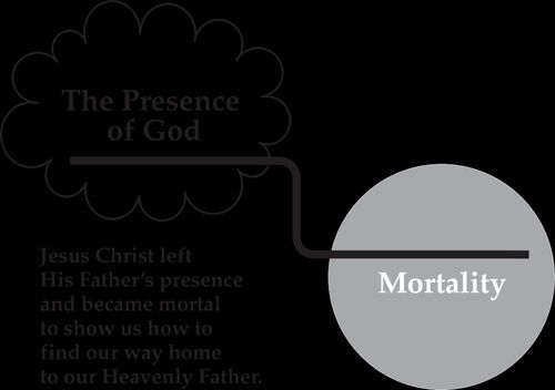 path to mortality