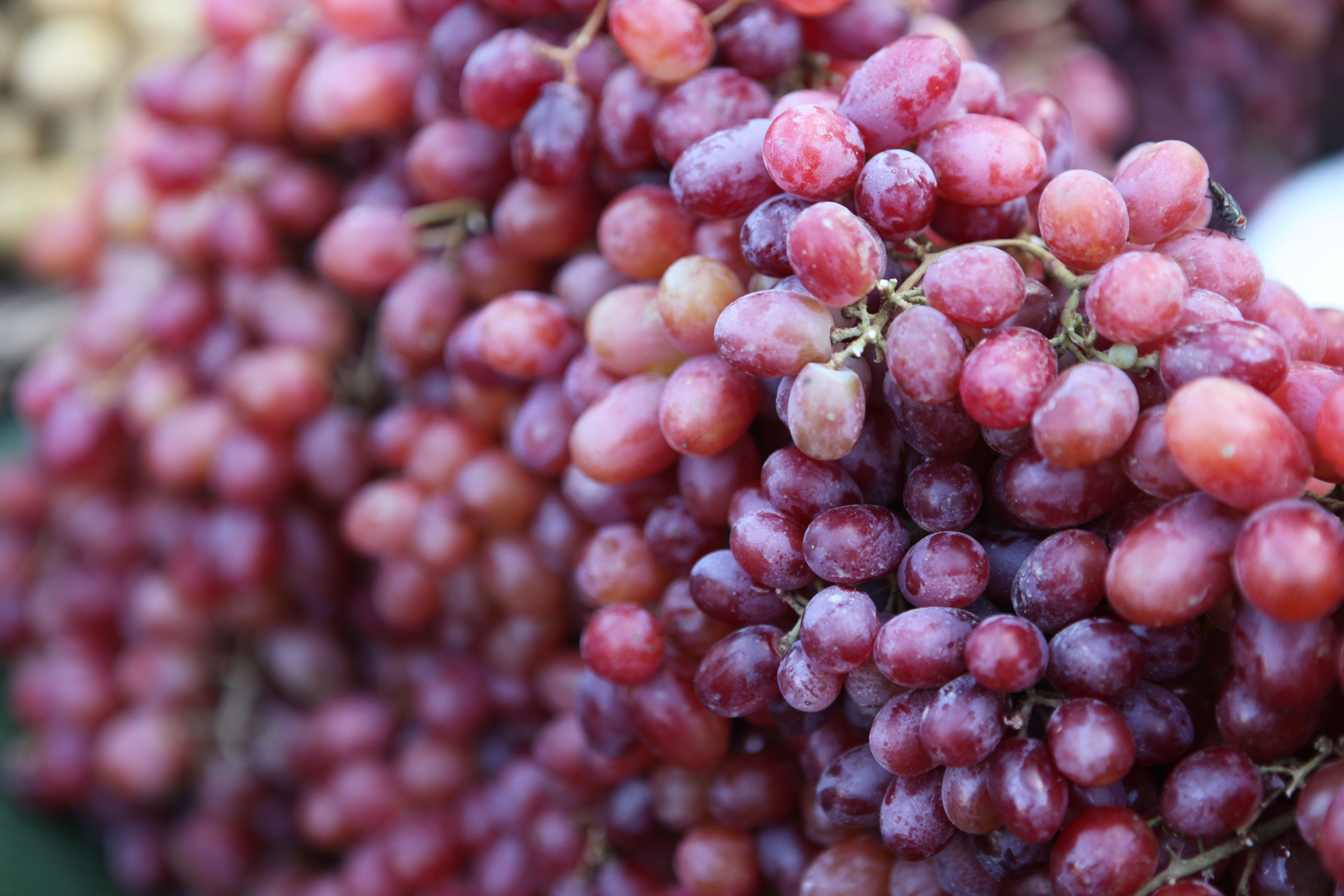 Bunches of grapes at an outdoor market.